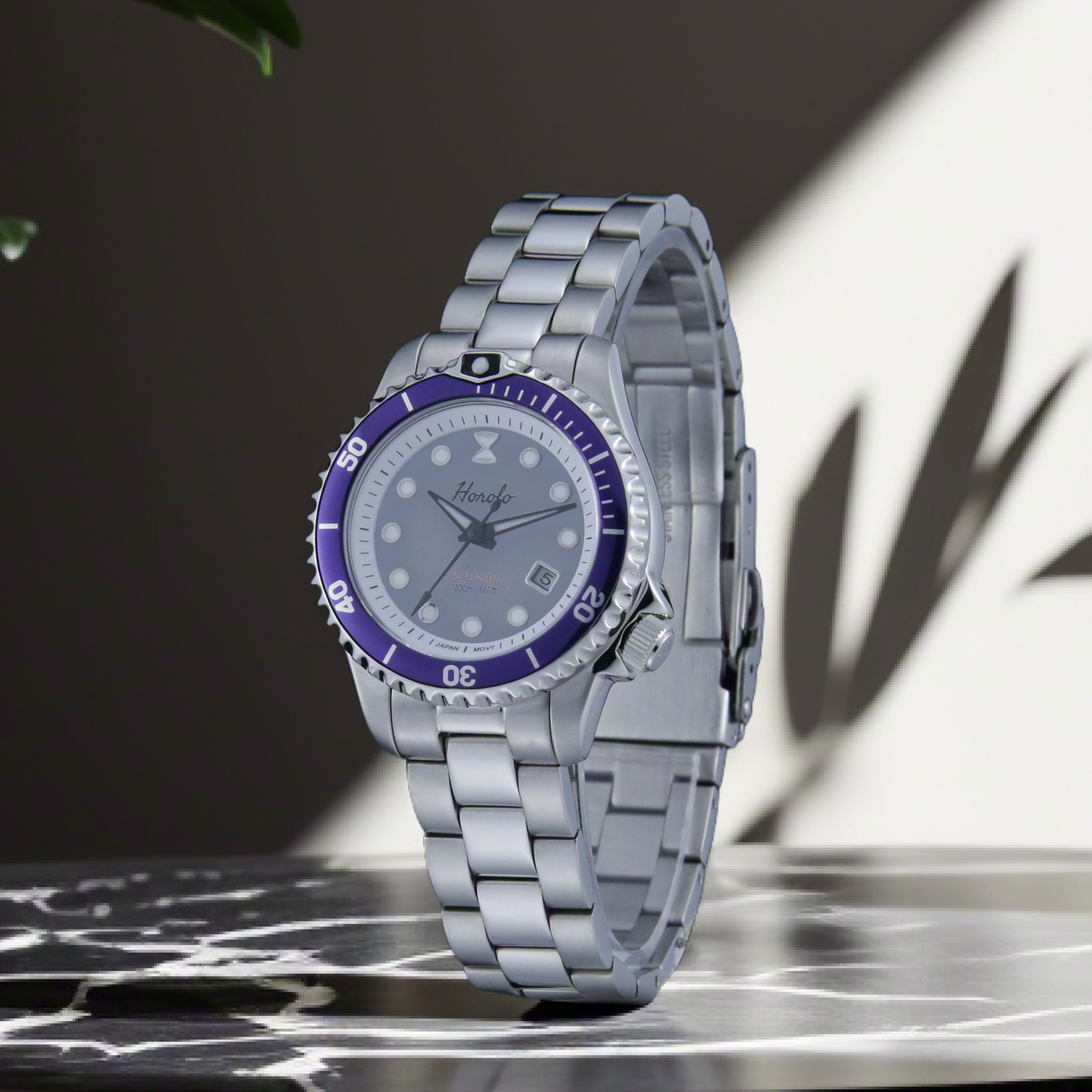 Horolo Stainless Steel Gray Dial Purple Bezel Japan Solar Ladies' Watch