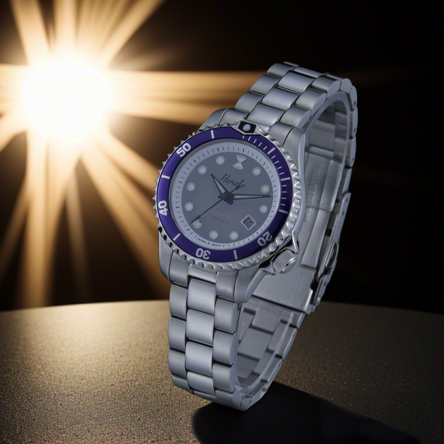 Horolo Stainless Steel Gray Dial Purple Bezel Japan Solar Ladies' Watch