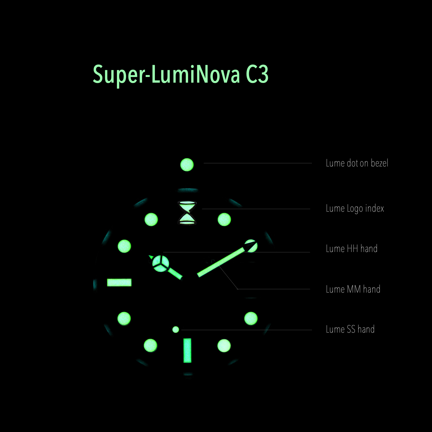 Horolo Stainless Steel Skeleton Diving Watch - Horolo Watch