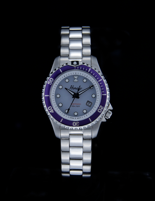 Horolo Stainless Steel Gray Dial Purple Bezel Japan Solar Ladies' Watch
