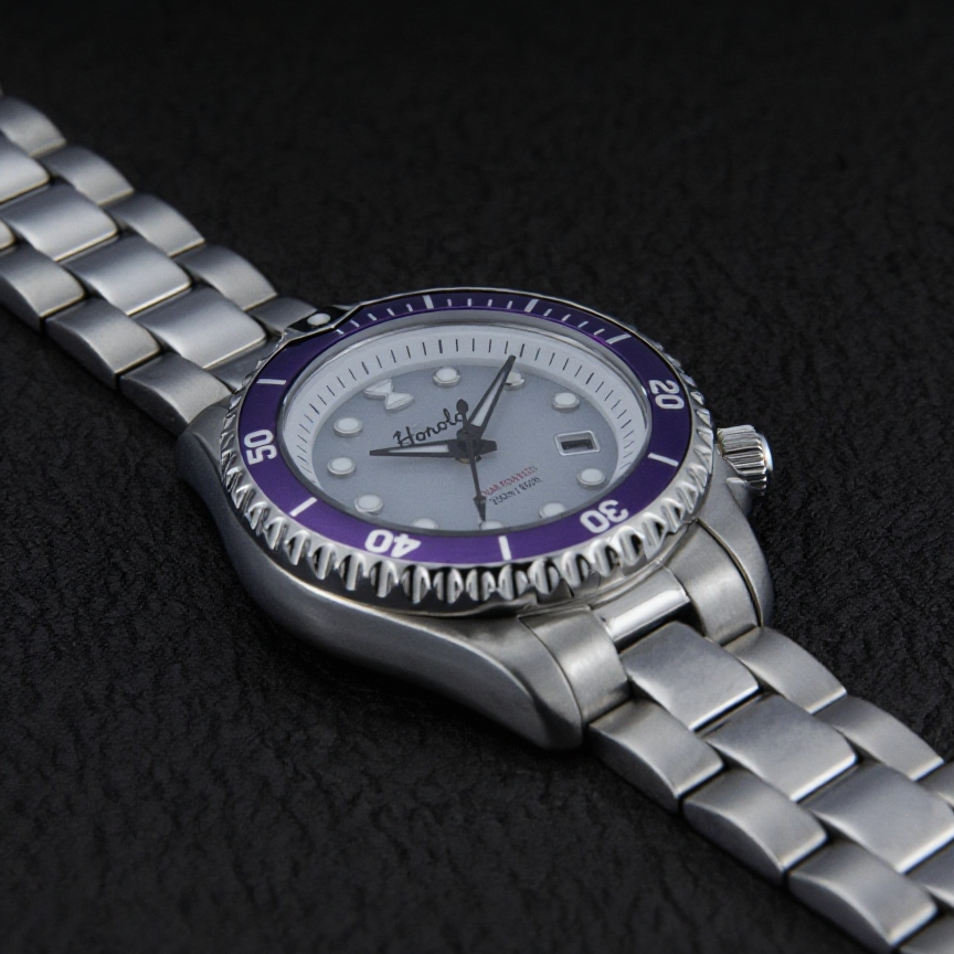 Horolo Stainless Steel Gray Dial Purple Bezel Japan Solar Ladies' Watch